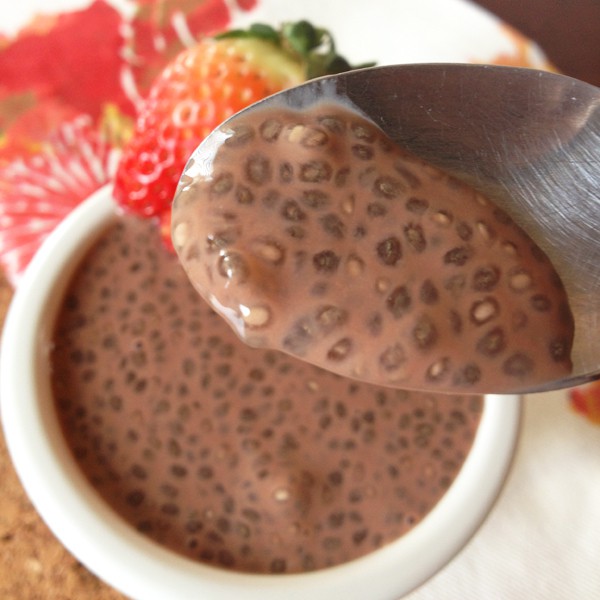 Chocolate Chia Pudding 1